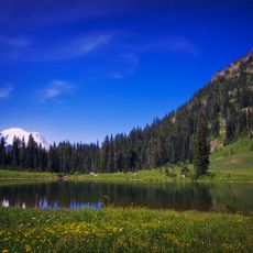 Tipsoo Lake