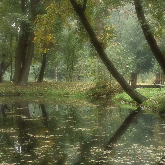 Landscape park in Żuków
