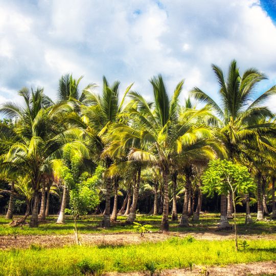 West Godavari district