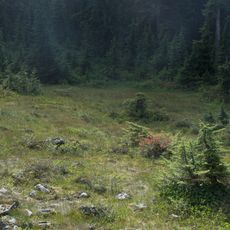 Pinecone Burke Provincial Park