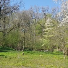 Groeve Lemmekenskoel