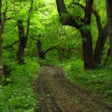 Abruka Nature Reserve