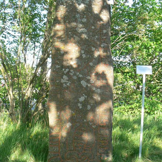 Östergötlands runinskrifter 113