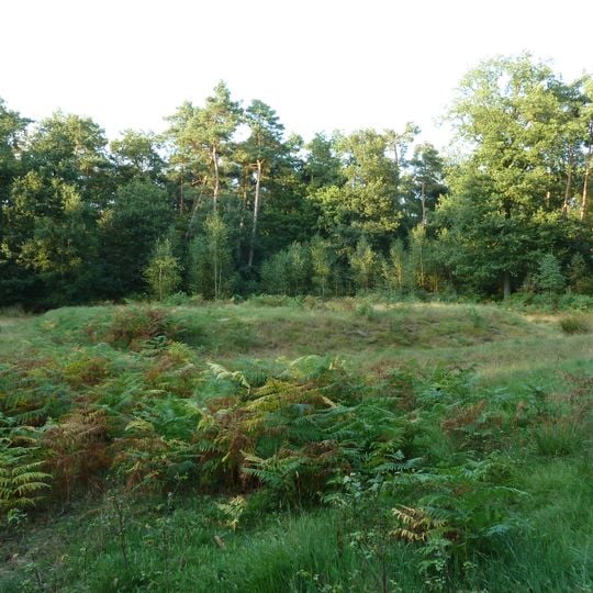 Ancient Roman watchtower Heumensoord
