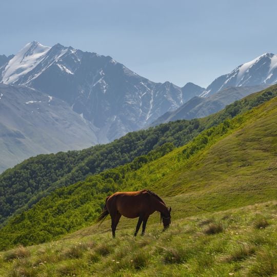 Pshav-Khevsureti National Park