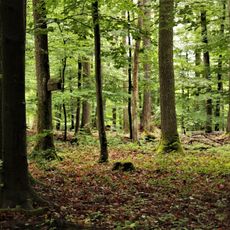 Landschaftsteile entlang der Autobahn: Heimsheim