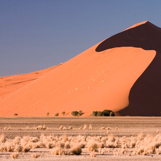 Dune 45