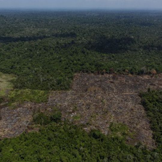 Terra Indígena Trincheira/Bacajá