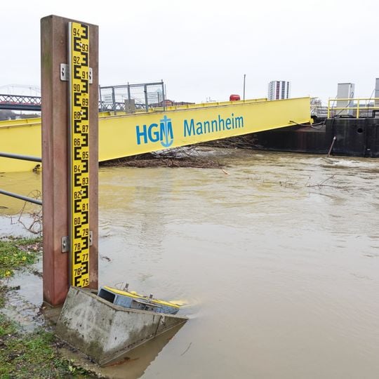 Pegel Mannheim