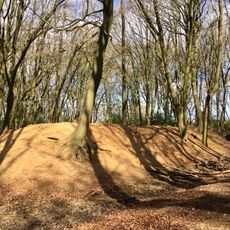 Moated site and enclosures at Redding Wick