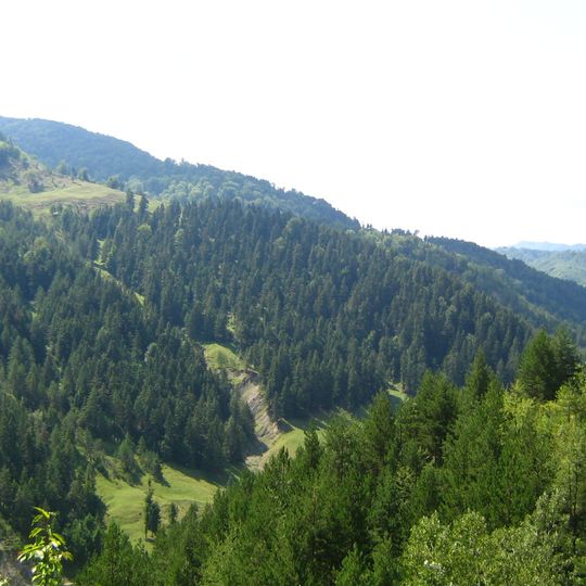 Levend vuur van Andreiașu