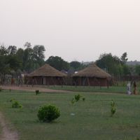 Divisione della West Coast