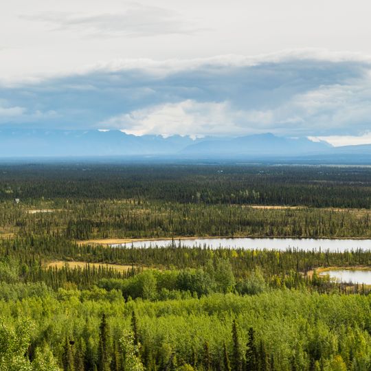 Refugio Nacional de Vida Silvestre Tetlin
