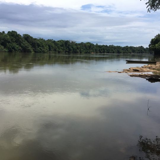 Parc national naturel de Yaigojé Apaporis