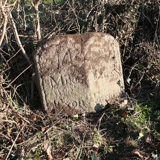 Milestone, 100m NW of entrance to Ellicombe Farm