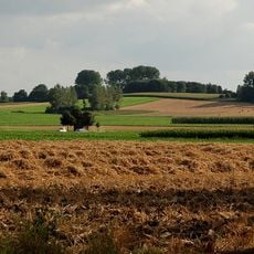 Sieberg