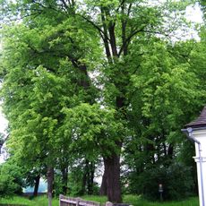 Cemetery at Saint Catherine chapel in Česká Třebová