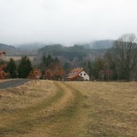 Dubová