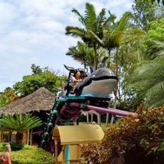 Orca-train roller-coaster