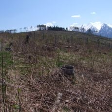 Suchy Wierch (Magura Spiska)