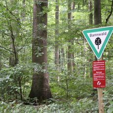 Waldgebiet östlich Oppershofen