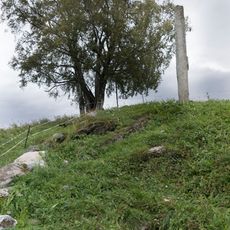 Sulstuen, St.Olavskilden