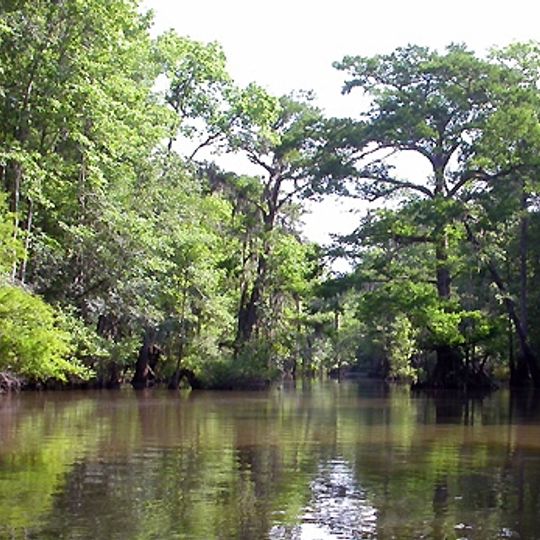 Bottle Creek Indian Mounds