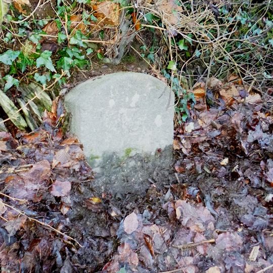 Milestone, S of Riversmead, half mile N of Snapper, on riverside road