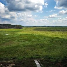 Čepkelių raisto apžvalgos bokštas