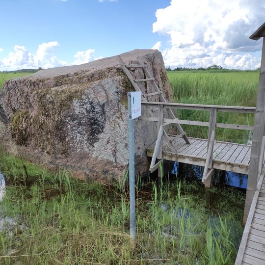 Głaz narzutowy Tõllukivi