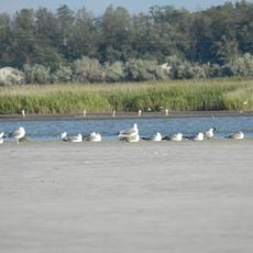 Solone Ozero (lanaw sa Ukranya, Khersons'ka Oblast')