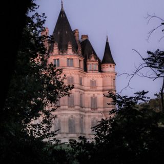 Château de Bon-Hôtel (Ligny-le-Ribault)