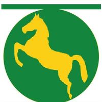 Governatorato di Sharqiyya