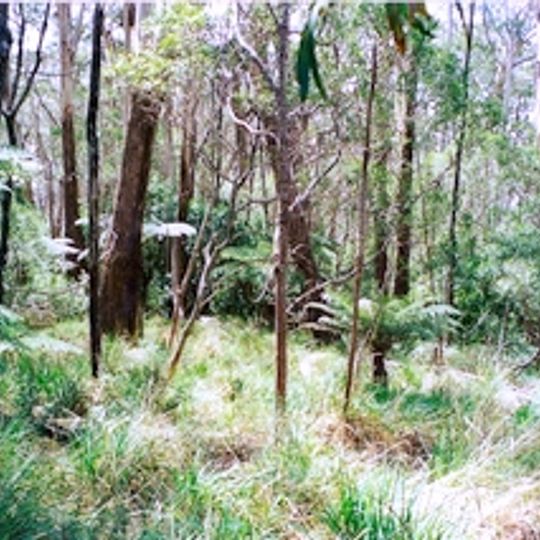 Willi Willi National Park