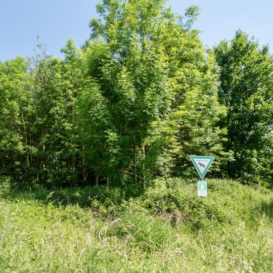 NSG Schloss Kellenberg