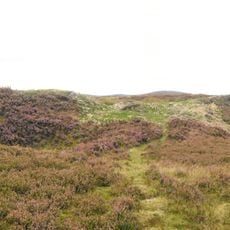 Buckton Castle
