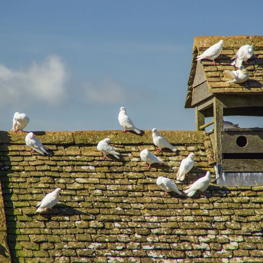 Dovecote And Adjoining Gateway, Snowshill Manor