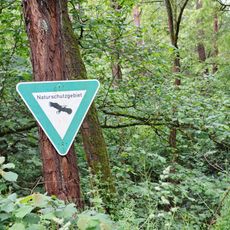 Im Woog von Hainstadt