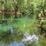 Parque Cenote Chikin Ha
