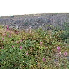 Pant-y-Phillip quarry