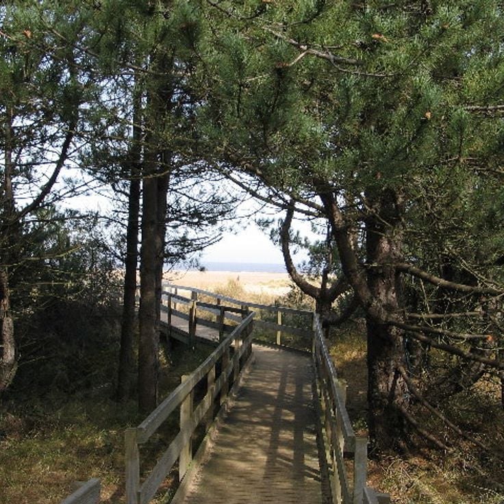 Holkham National Nature Reserve
