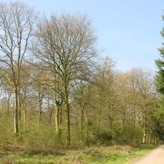 Forêt de Crécy