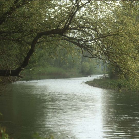 Esino