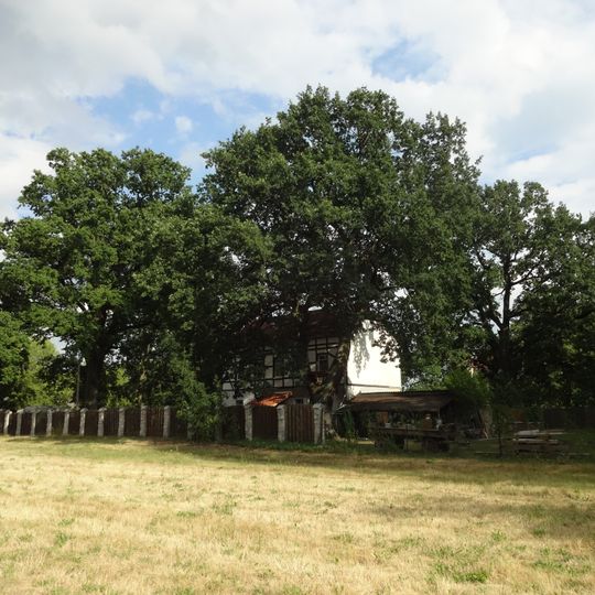 Naturdenkmal Stieleiche