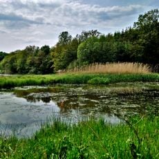 Naturschutzgebiet Talauen von Nidder und Hillersbach bei Gedern und Burkhards