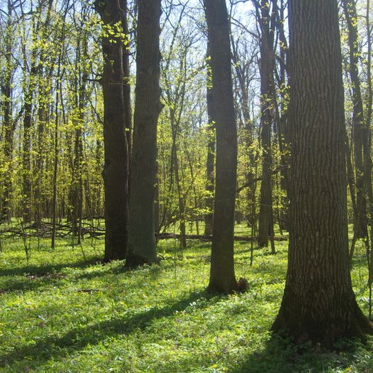 Belogorye Nature Reserve