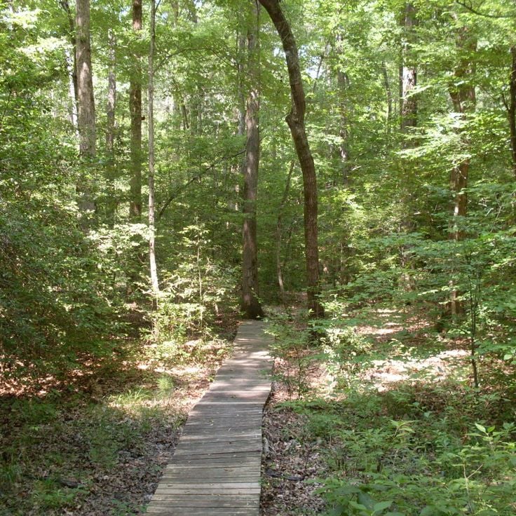 White Oak Lake State Park