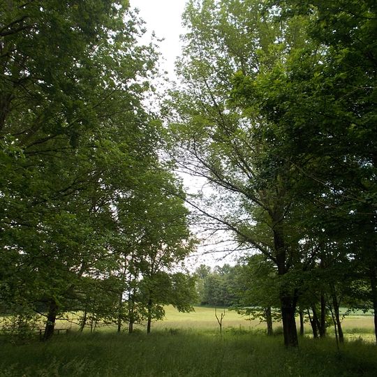 Baraggia di Bellinzago