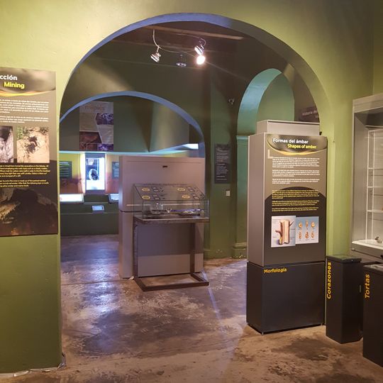 Museo del Ambar
