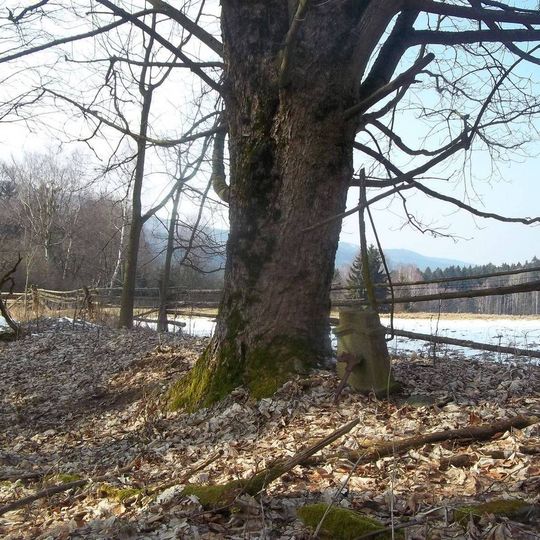 Kříž nad zaniklým Malým Horšínem